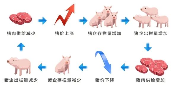 资本周期：没钱请减速？...