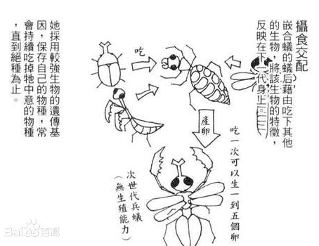 如果没有生殖隔离地球会变成什么样？...