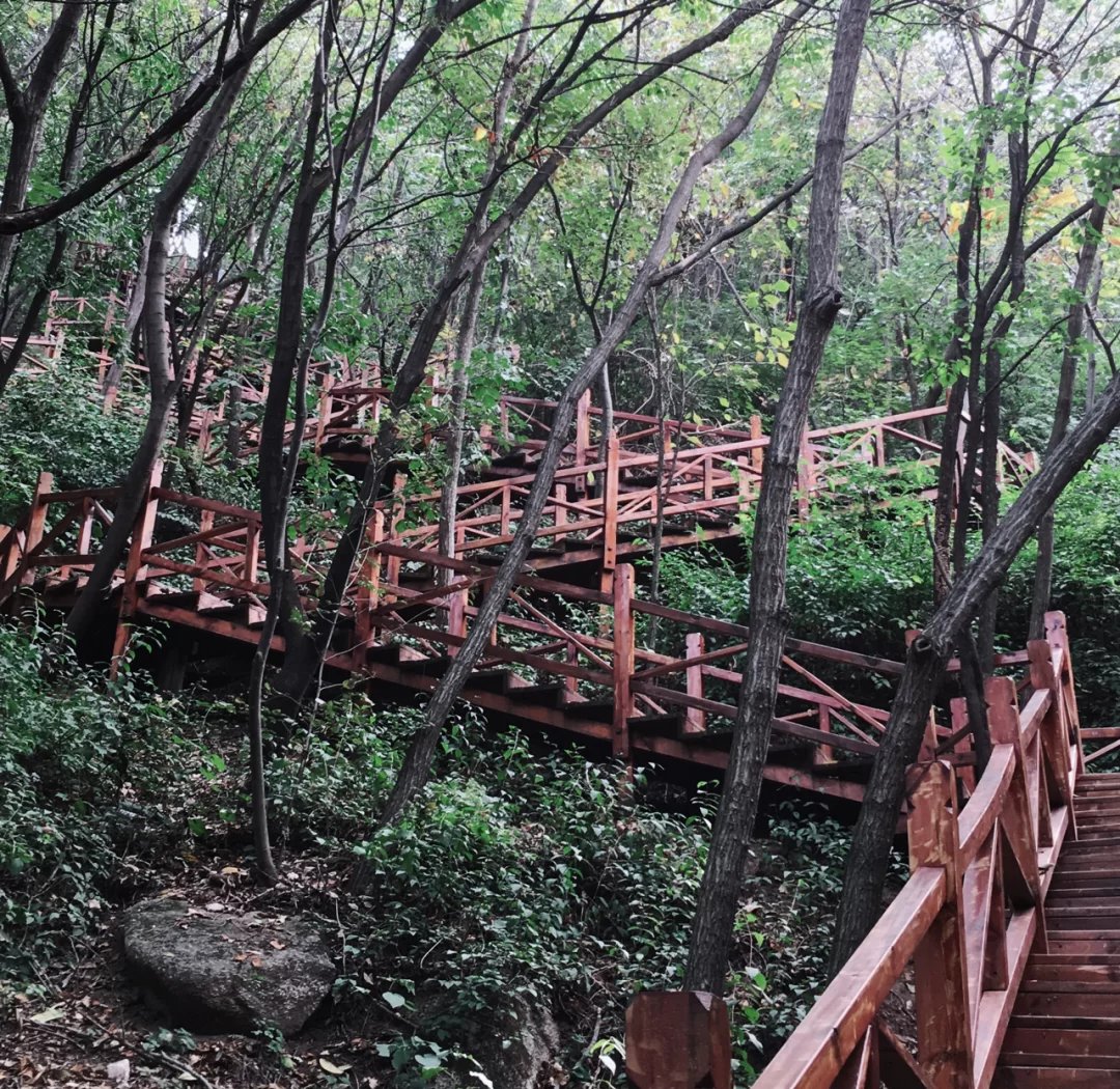 爆料称宜昌附近打牌喝茶好去处有哪些 实测推荐与避坑指南