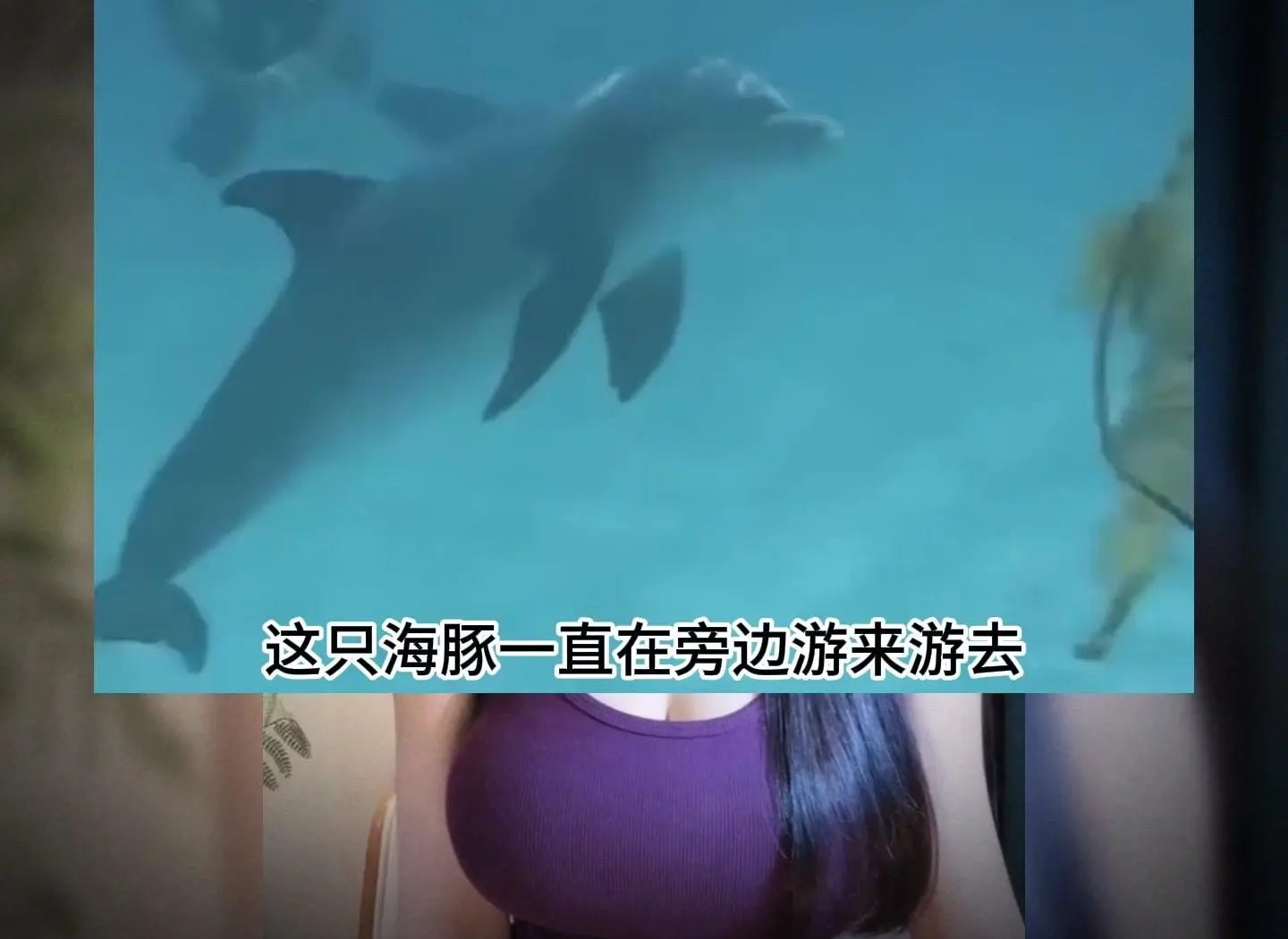 为什么除了人类,仅有虎鲸和领航鲸在绝经之后不会死亡...