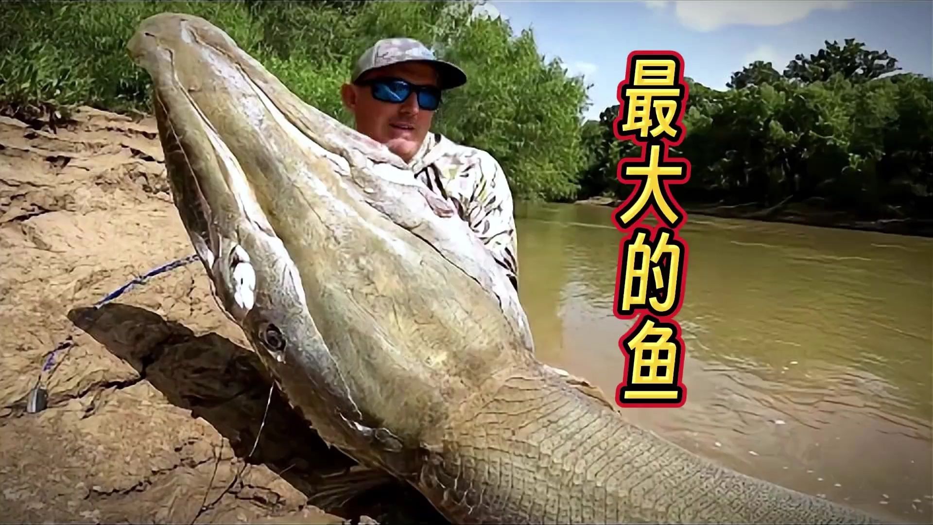 新发现:科学家指出世界上最大的鱼,网友疑问:难道不...