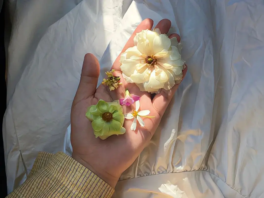 阳江哪里有100块的巷子