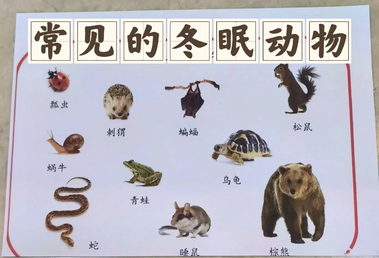 冬眠动物有哪些饮食习惯 十大恐怖巨兽盘点