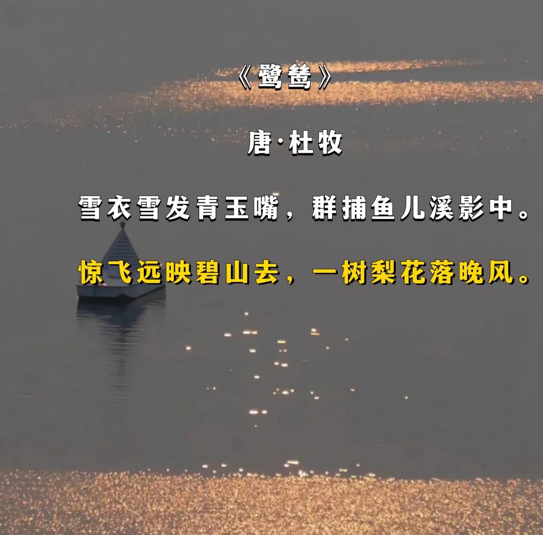 仲夏季吃的爽，需要重度的刺激才能够苏醒？...