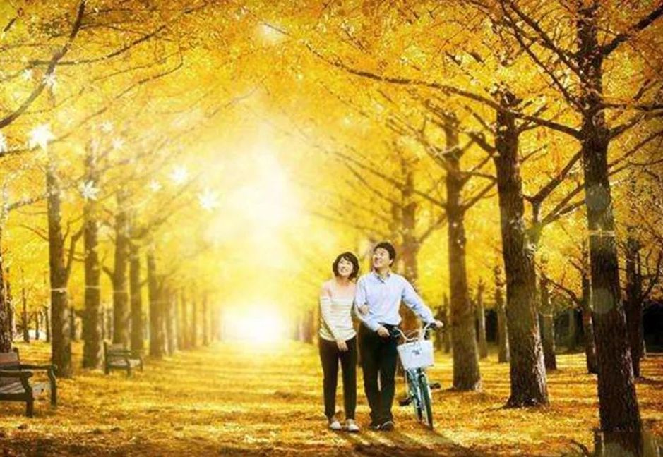 上门服务人到付款靠谱吗？3大避坑指南省30%费用