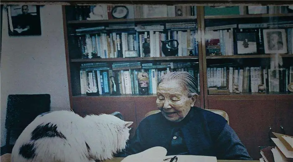 冰芯研究意义 古气候记录如何获取