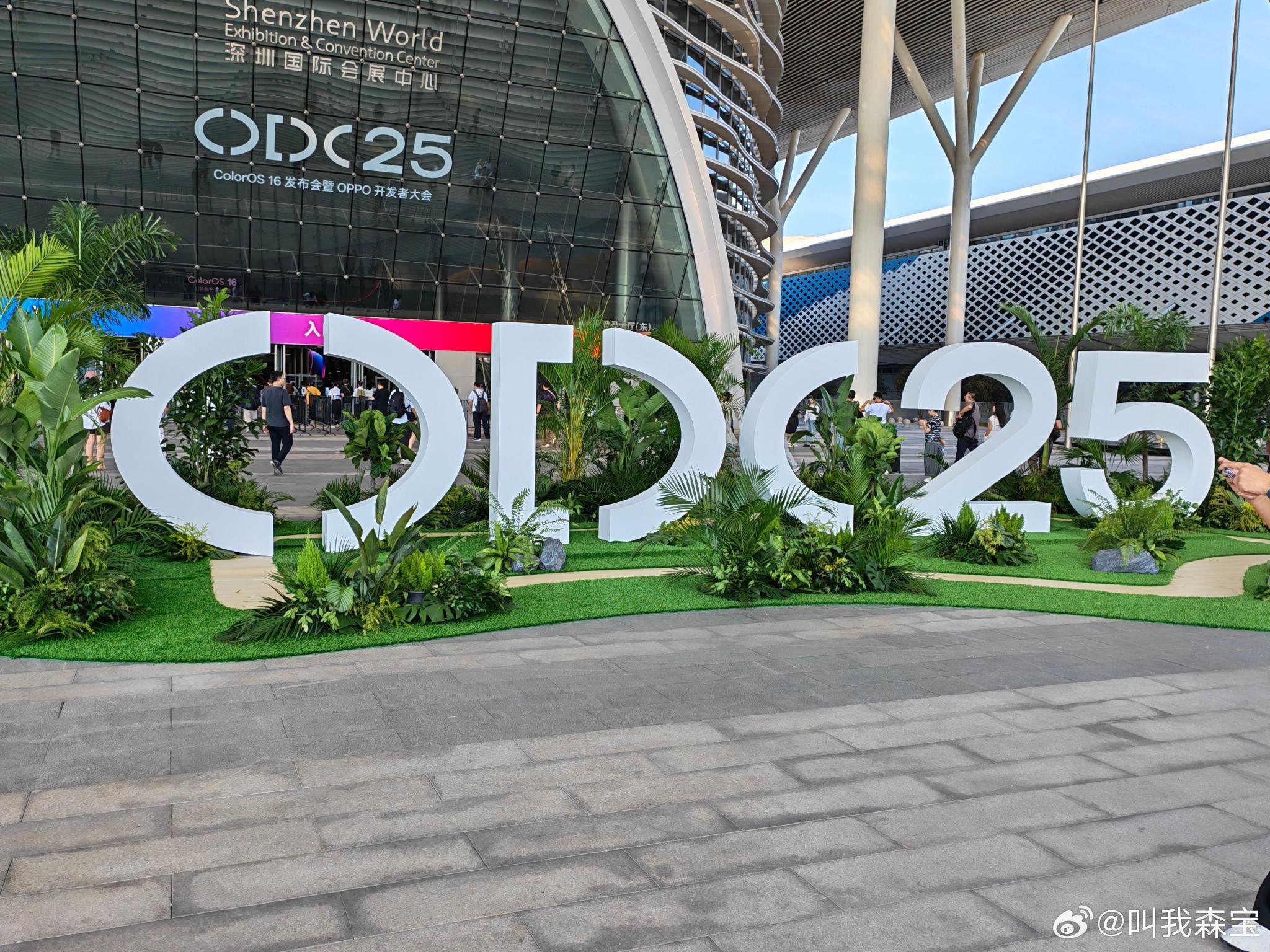 同城一夜约入门指南：从零开始的社交新体验