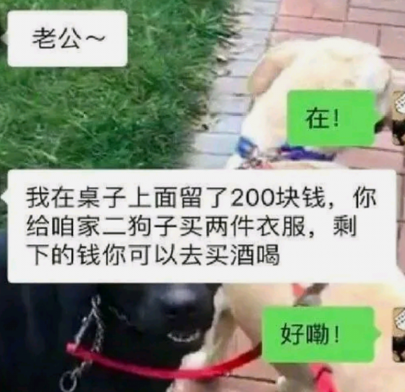 两百块钱聚餐QQ群:当代年轻人的微型社交经济学实验