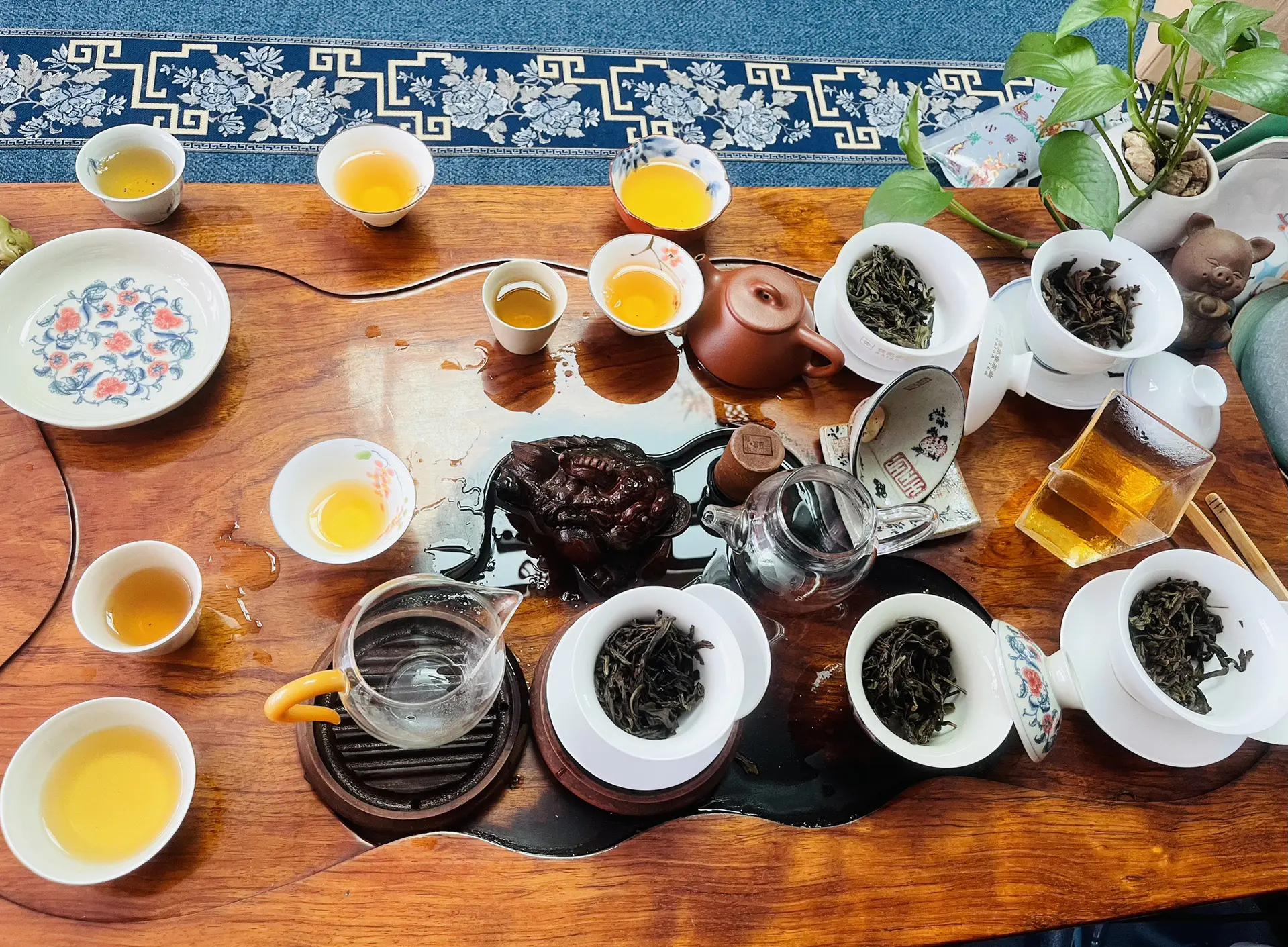 品茶阁到底靠不靠谱？新手必读避坑全攻略