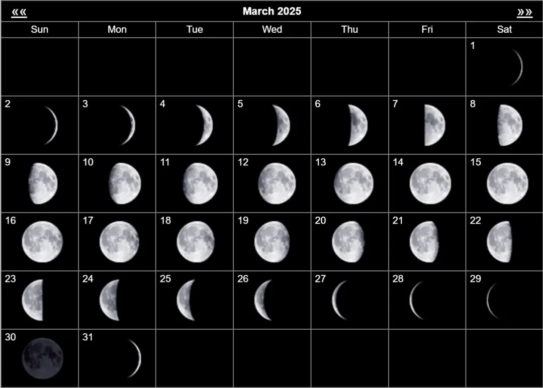 楼风信信息论坛2023全解析与实用指南详解