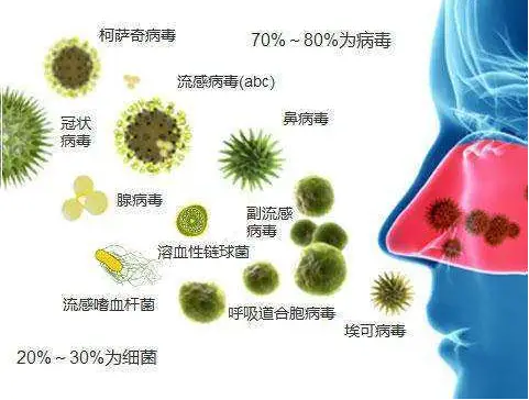 跨越1.84亿年,贪吃的人类把两物种进行杂交?...