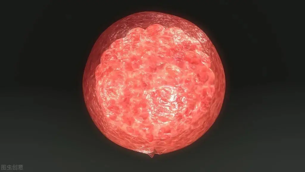 动物都有固定发情期，为什么人类这样特殊，365天都...