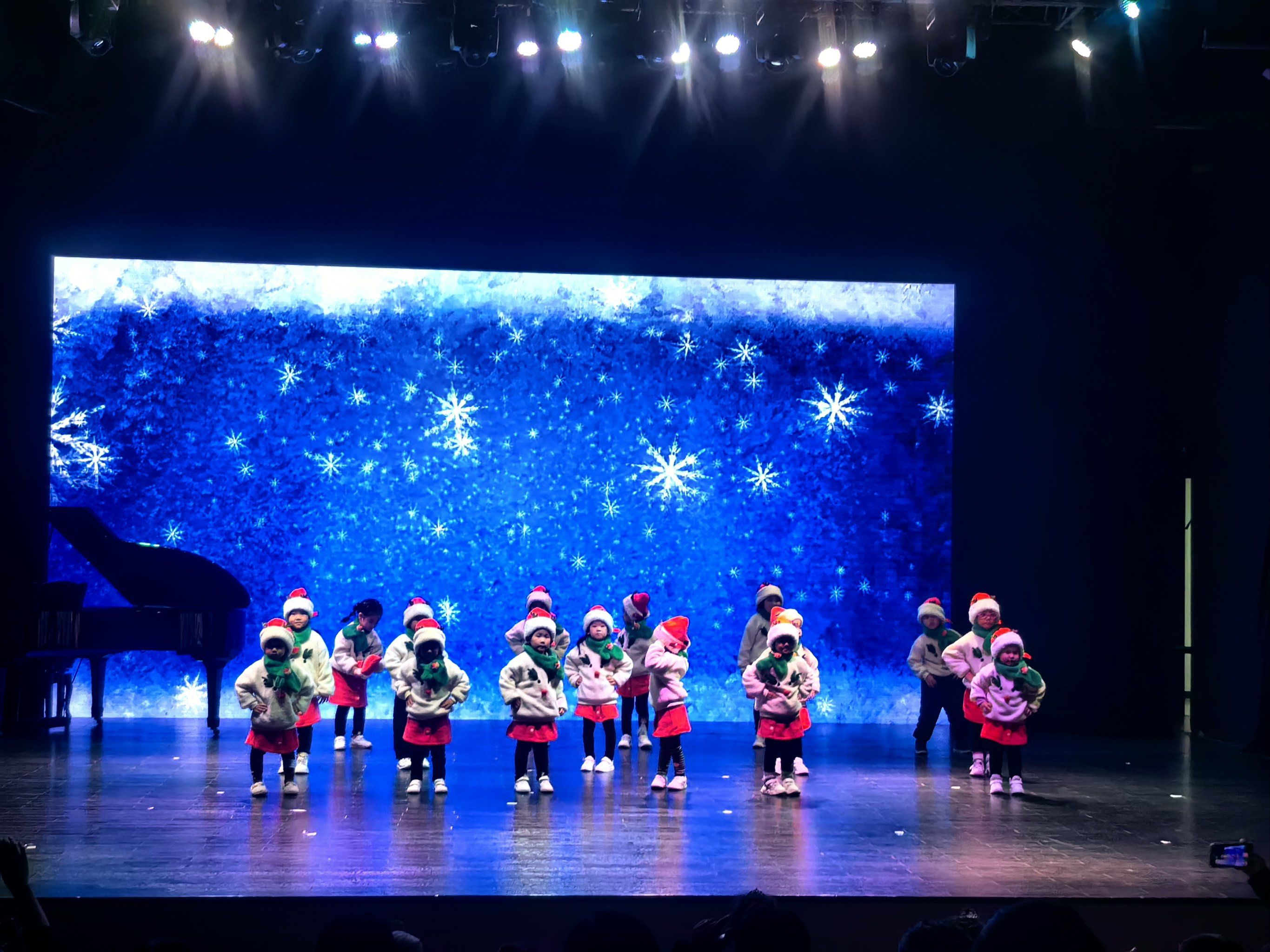 动物王国才艺大比拼 谁是最强小天才