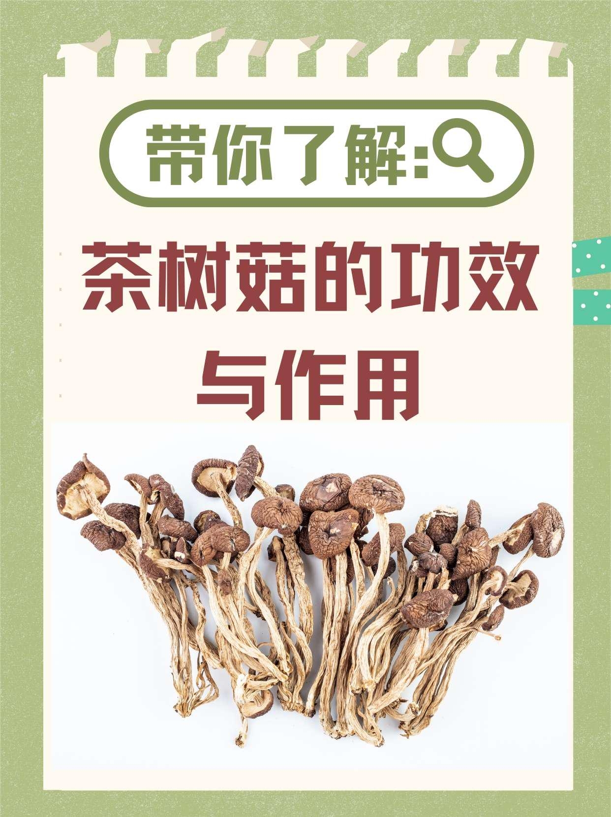 给“ 抗癌尖兵 ”松绑...