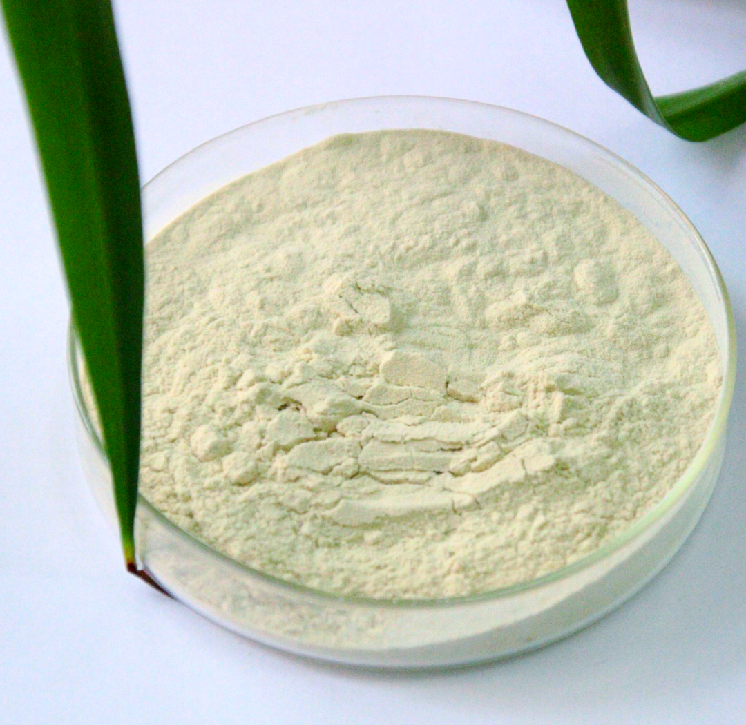 大蒜提取物叫什么 大蒜提取物有哪些功效