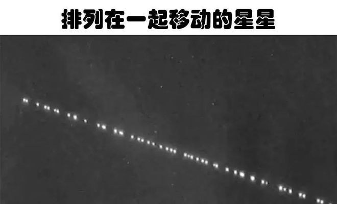 肉眼可见移动闪光物体 蛇和青蛙的视觉奥秘