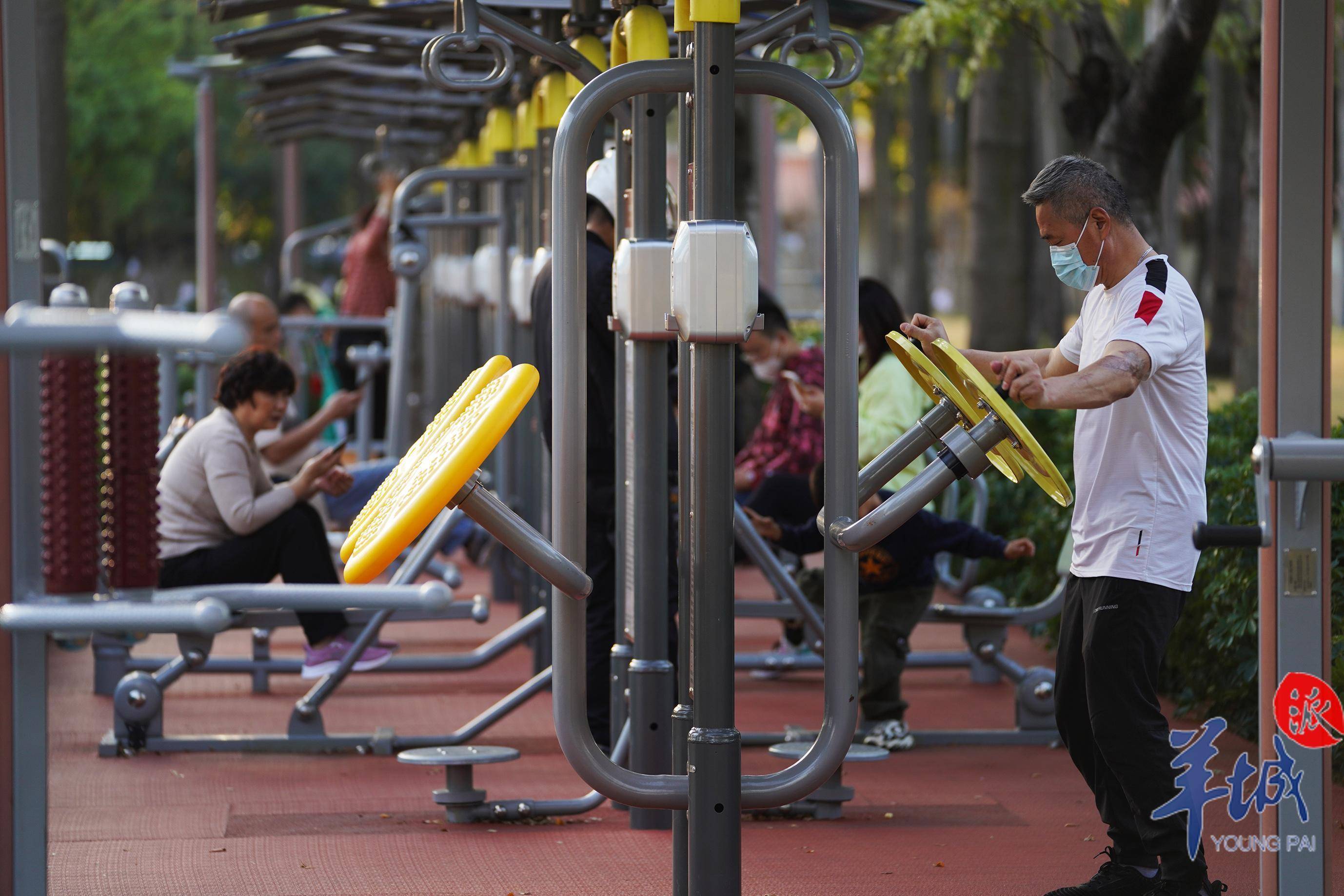 免费24小时全国空降群全攻略：新人必看指南