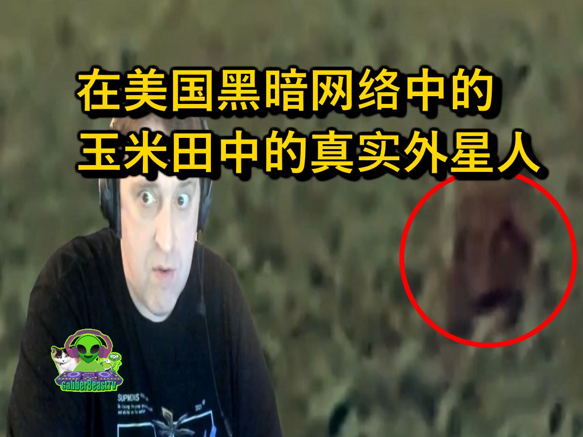 外星人如果存在，可能有这样四种形式，你能接受哪一个...