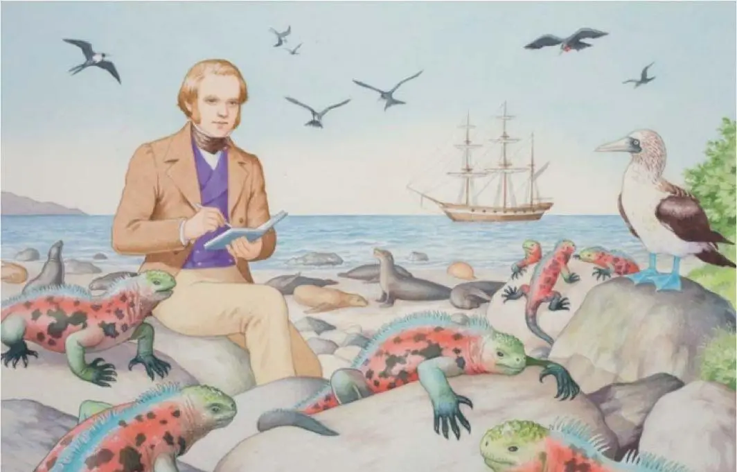 不安分人物故事 成功背后的冒险精神