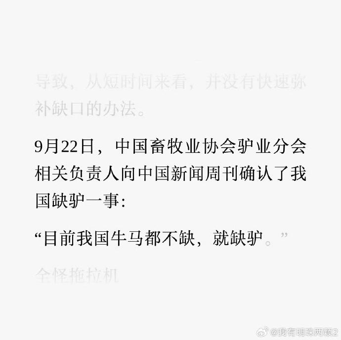 24小时品茶指南：从清晨到深夜的茶道之旅