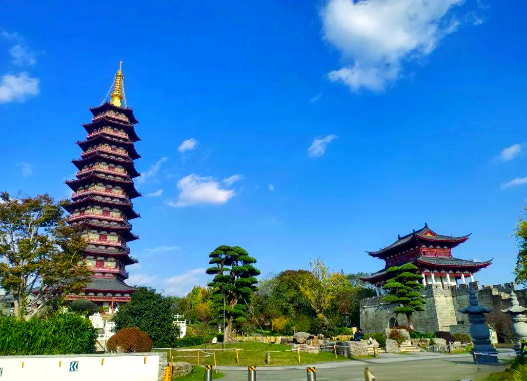 临汾卫校姑娘快餐:市井美味背后的青春故事