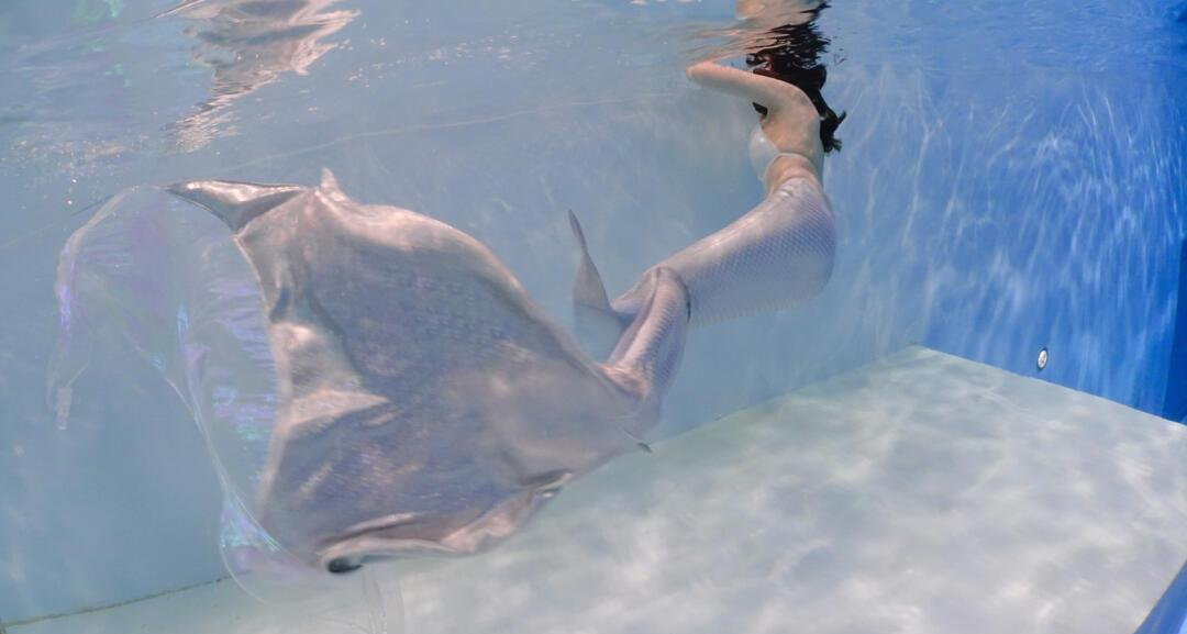 学着做条美人鱼