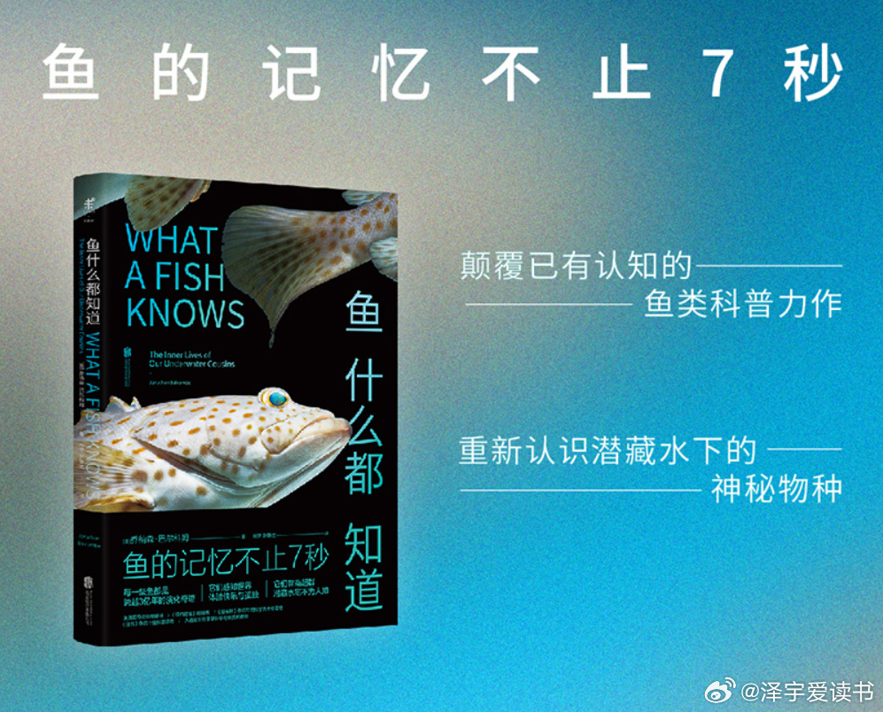 鱼的记忆可远不止7秒？...