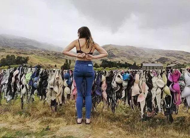 城市环境卫生问题 宠物粪便治理难题