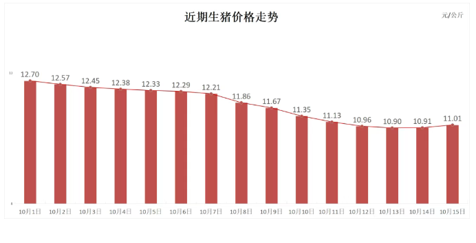 今日猪价毛猪价