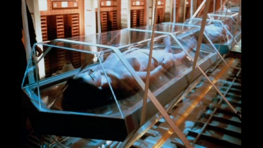 吃掉宿主舌头自己来当，科学家发现恐怖“吸血鬼”，鱼...