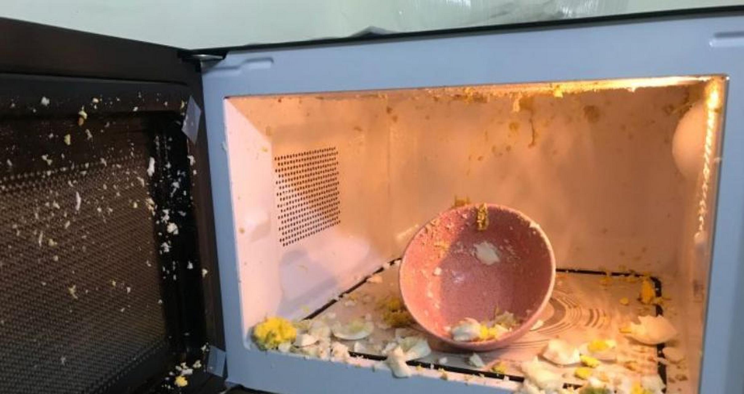 两颗葡萄放进微波炉加热到底有多危险？为什么不能这么做？