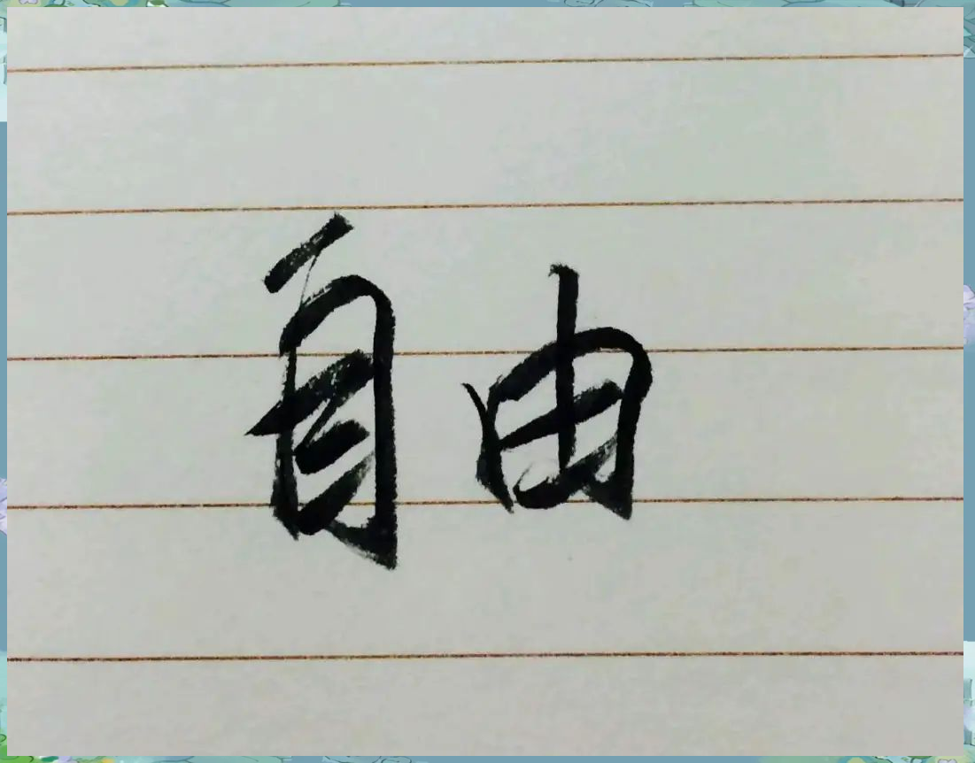 全国空降服务网入口解析,如何选择高效便捷的空降服务平台