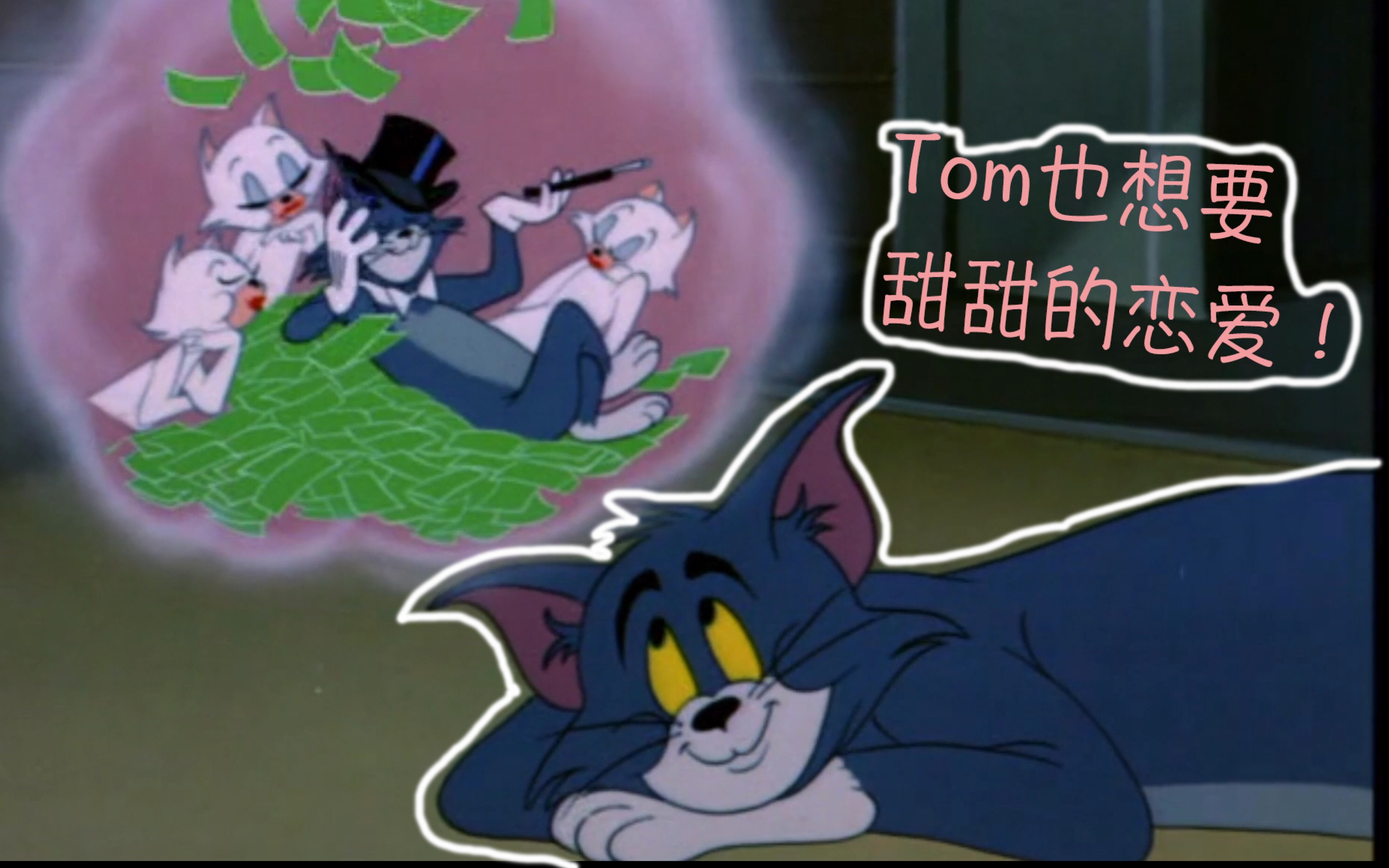 倒霉猫咪大盘点 背锅侠的悲惨命运