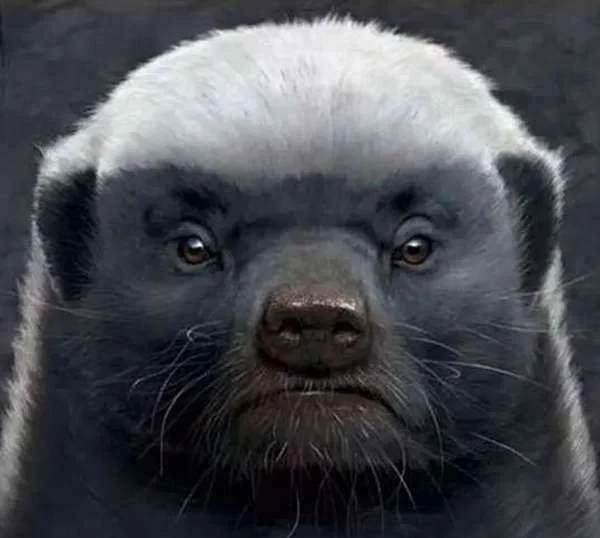 平头哥是指谁 平头哥到底什么来历