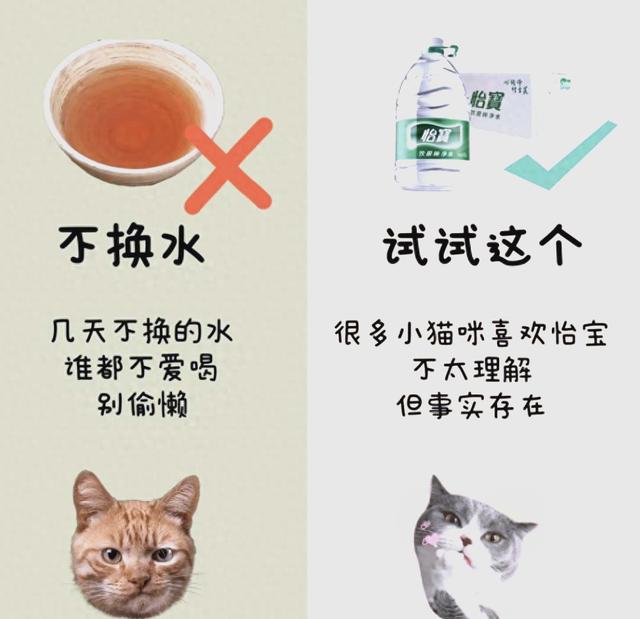 不爱喝水小心结石找上你 正确的饮水方式在这里