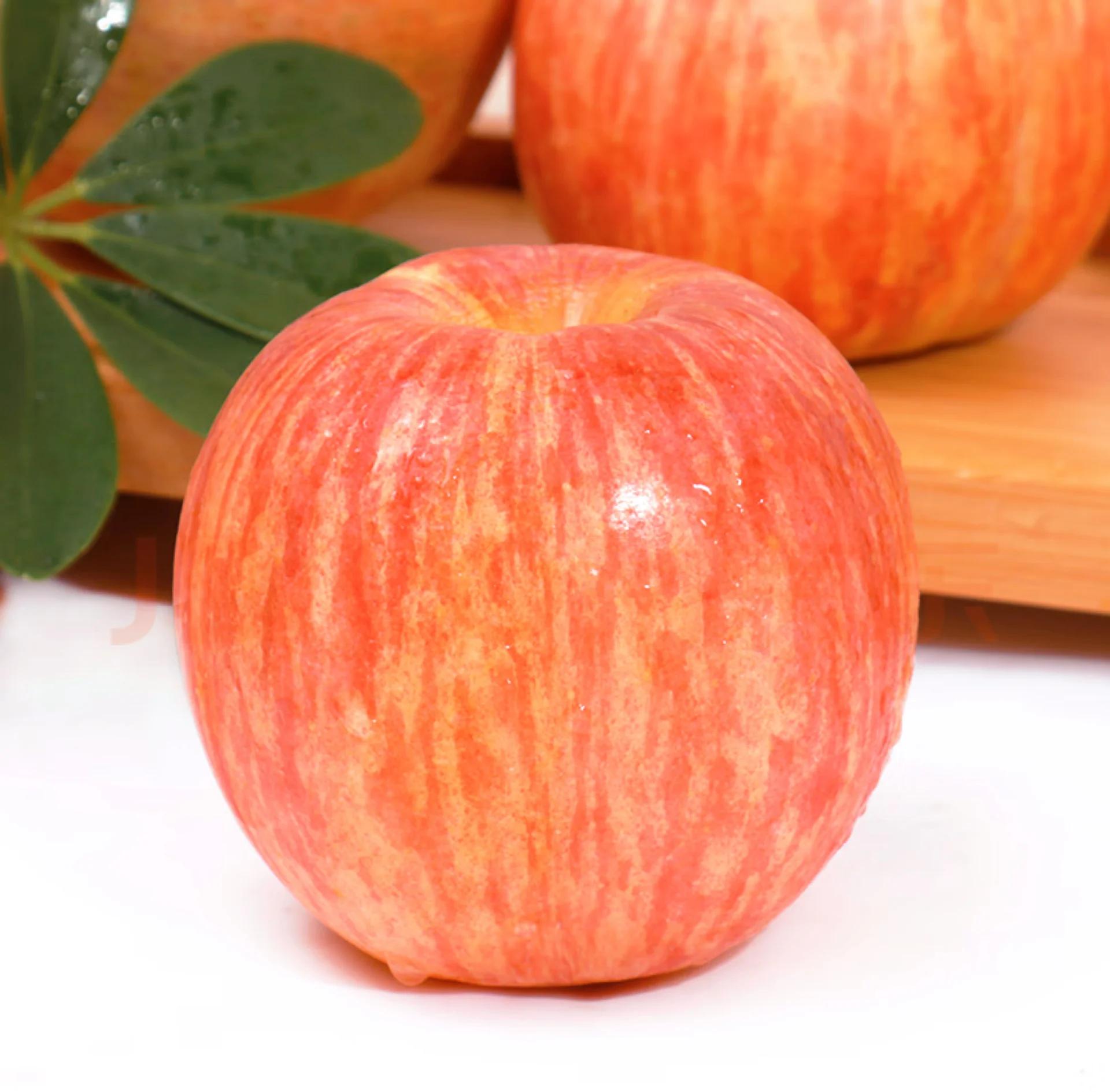 苹果7上市时间 苹果手机7发布时间与价格