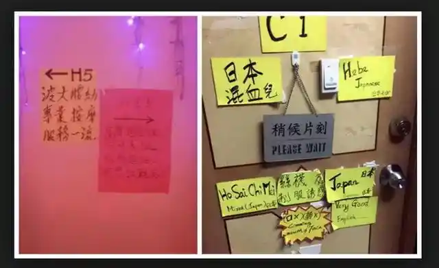 最新数据揭秘：楼凤宫360究竟靠谱吗？2025年实测经验全解析