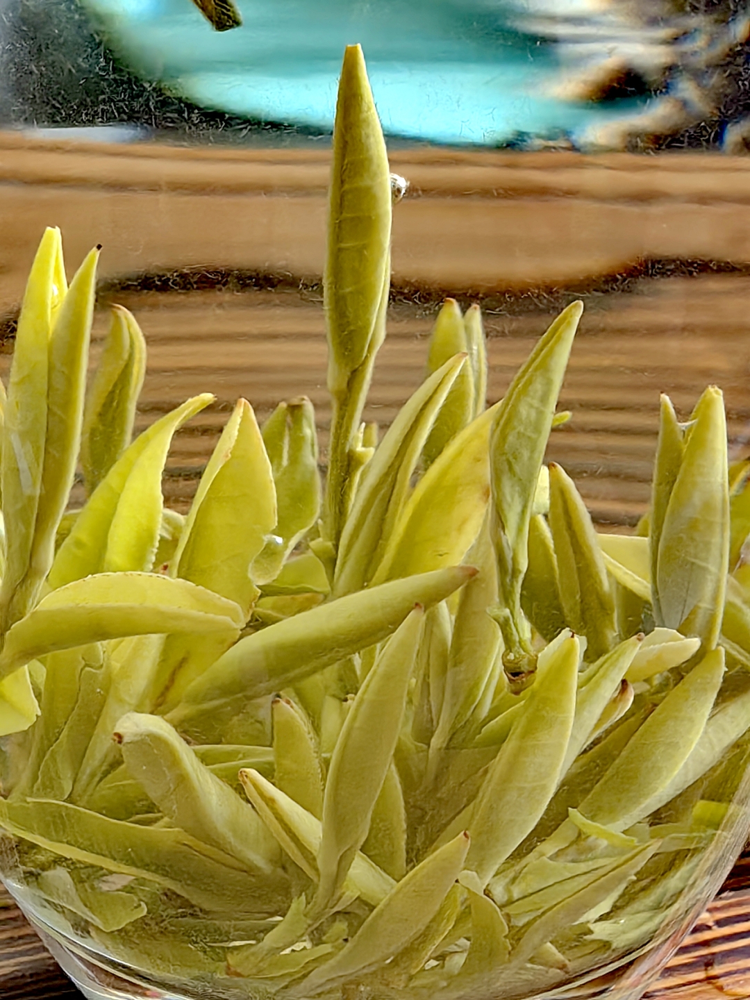 常州品茶指南：从新手到行家的实用攻略大全