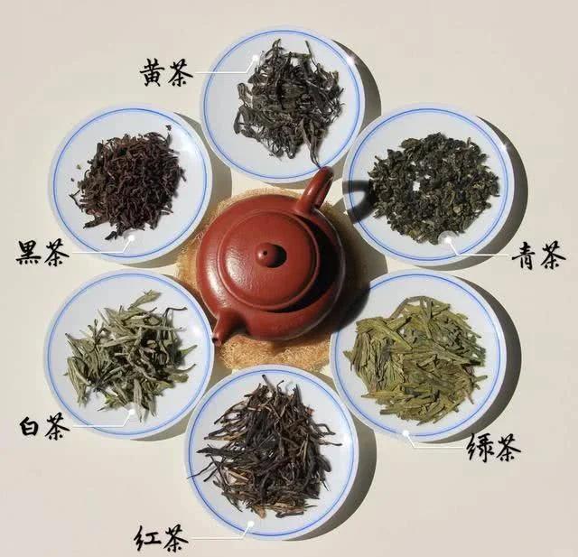 为什么喝茶第一泡水要倒掉？这背后真相你知道吗？