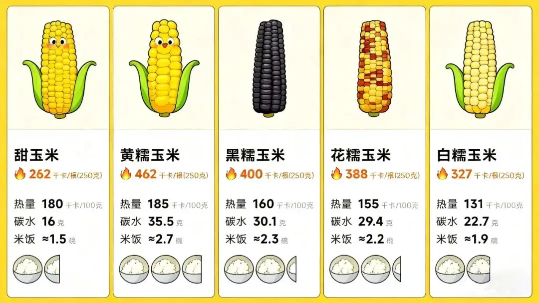 玉米的热量