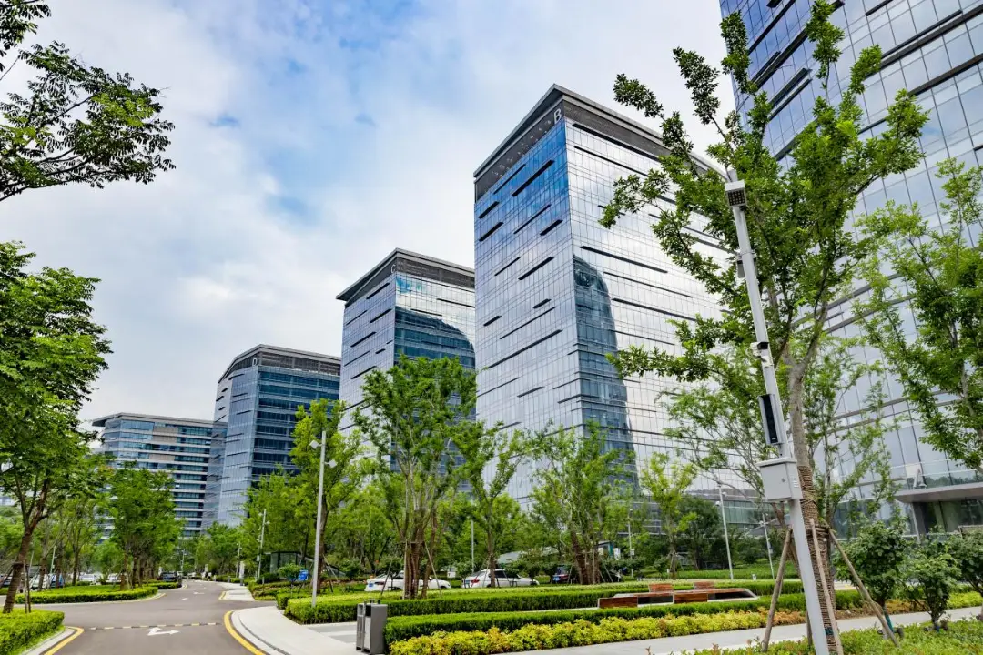 数字化浪潮下的职业女性社群：连接、赋能与成长