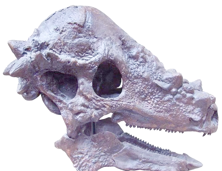 从“信天翁”到“4202工程”...