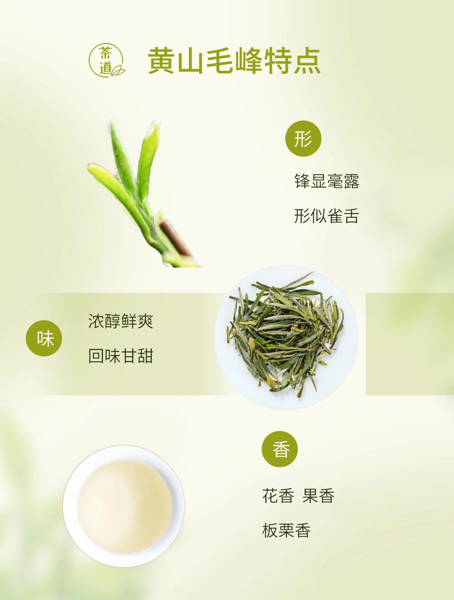 常州品茶指南：从新手到行家的实用攻略