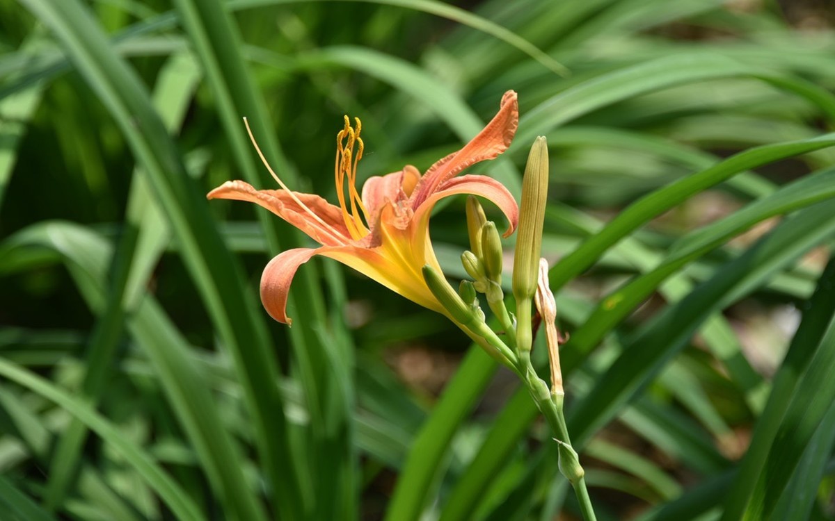 水宜坊SPA系列:从肌肉放松到能量重启的全套解决方案