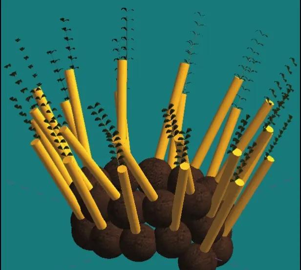 小店小马村鸡窝探秘，乡土美食与人文记忆的活态传承