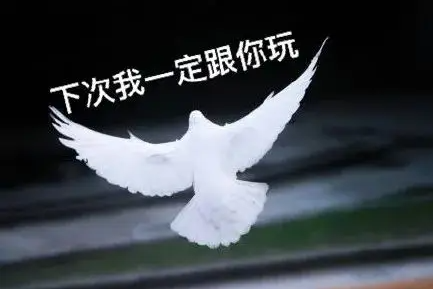 约会总被鸽?揭秘微信快约爱3秒匹配省7天尬聊的秘籍