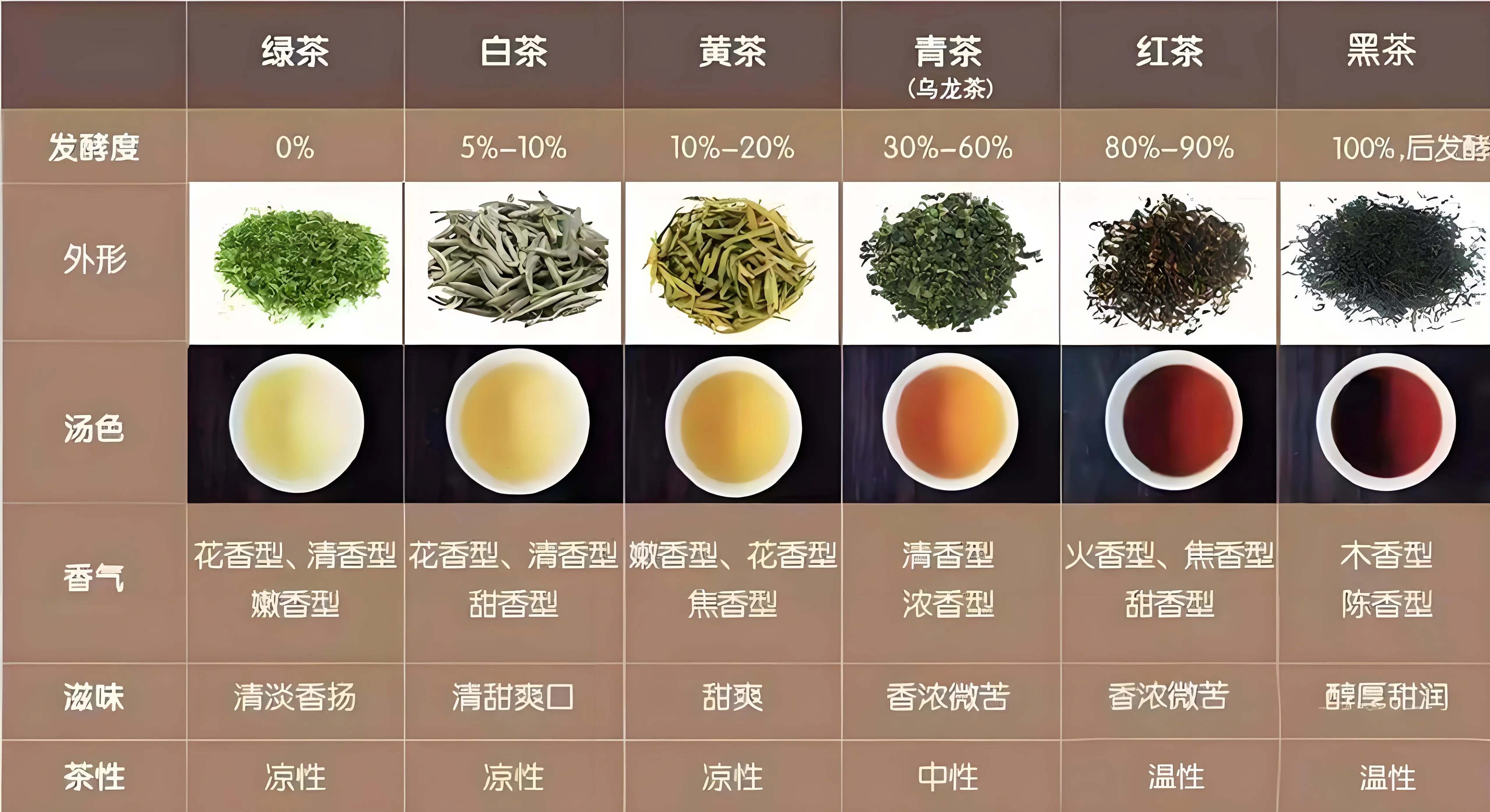 全国品茶指南：从入门到精通的实用手册全攻略