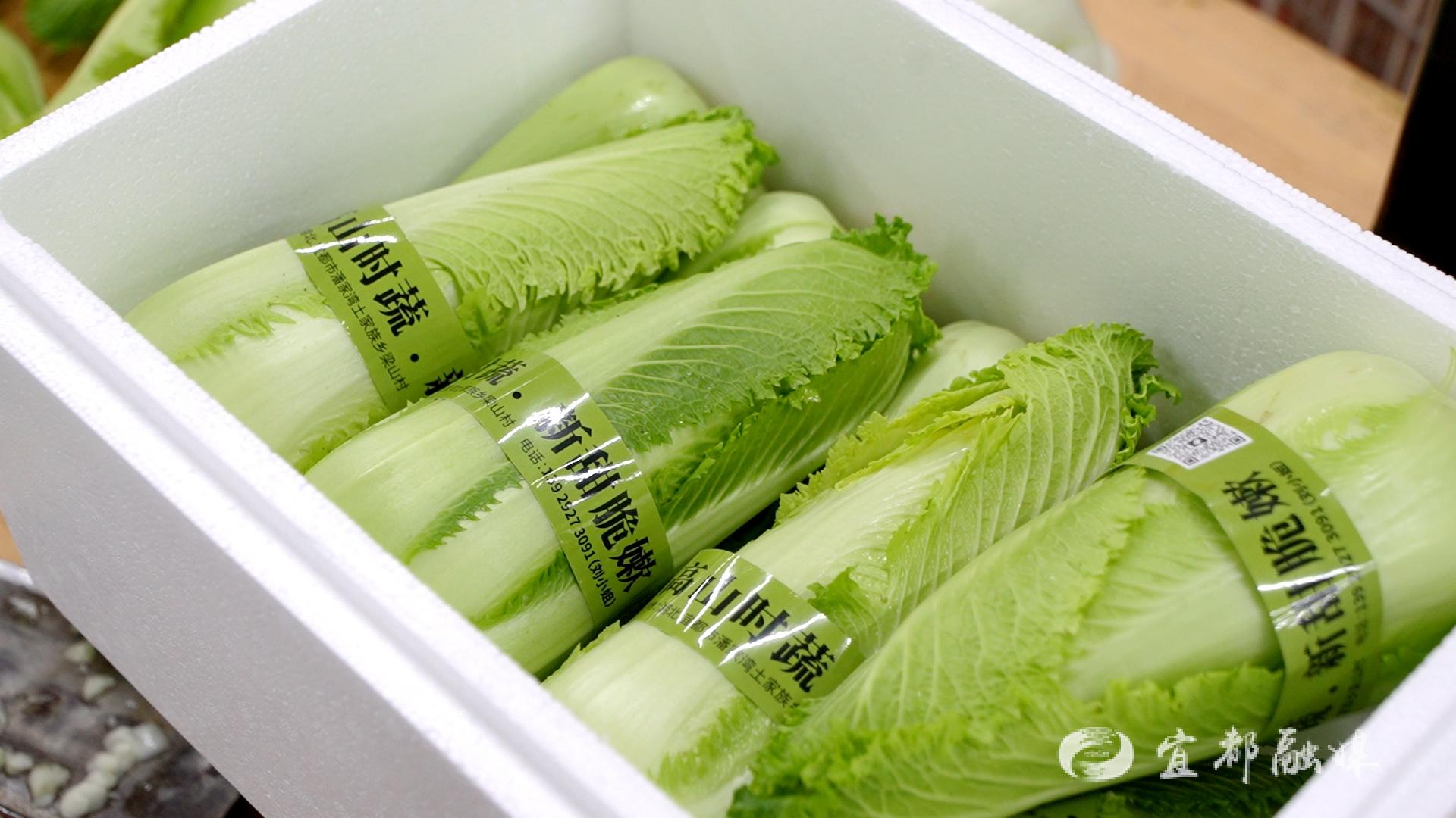 龙牙白菜要焯水吗 龙牙白菜与大白菜区别是什么