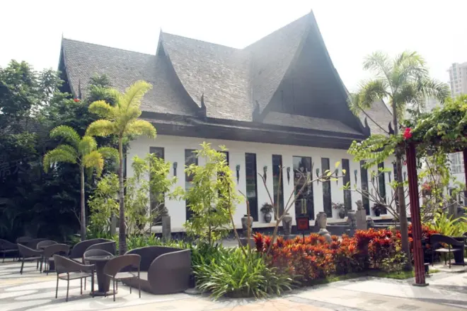 三亚新茶嫩茶怎么选才能不踩坑？