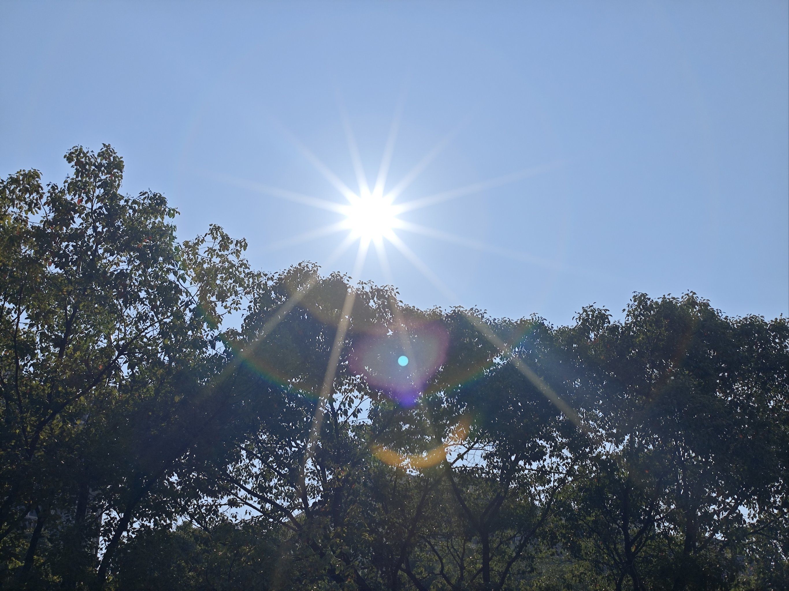 春季穿搭与健康迷思 保暖误区与时尚搭配